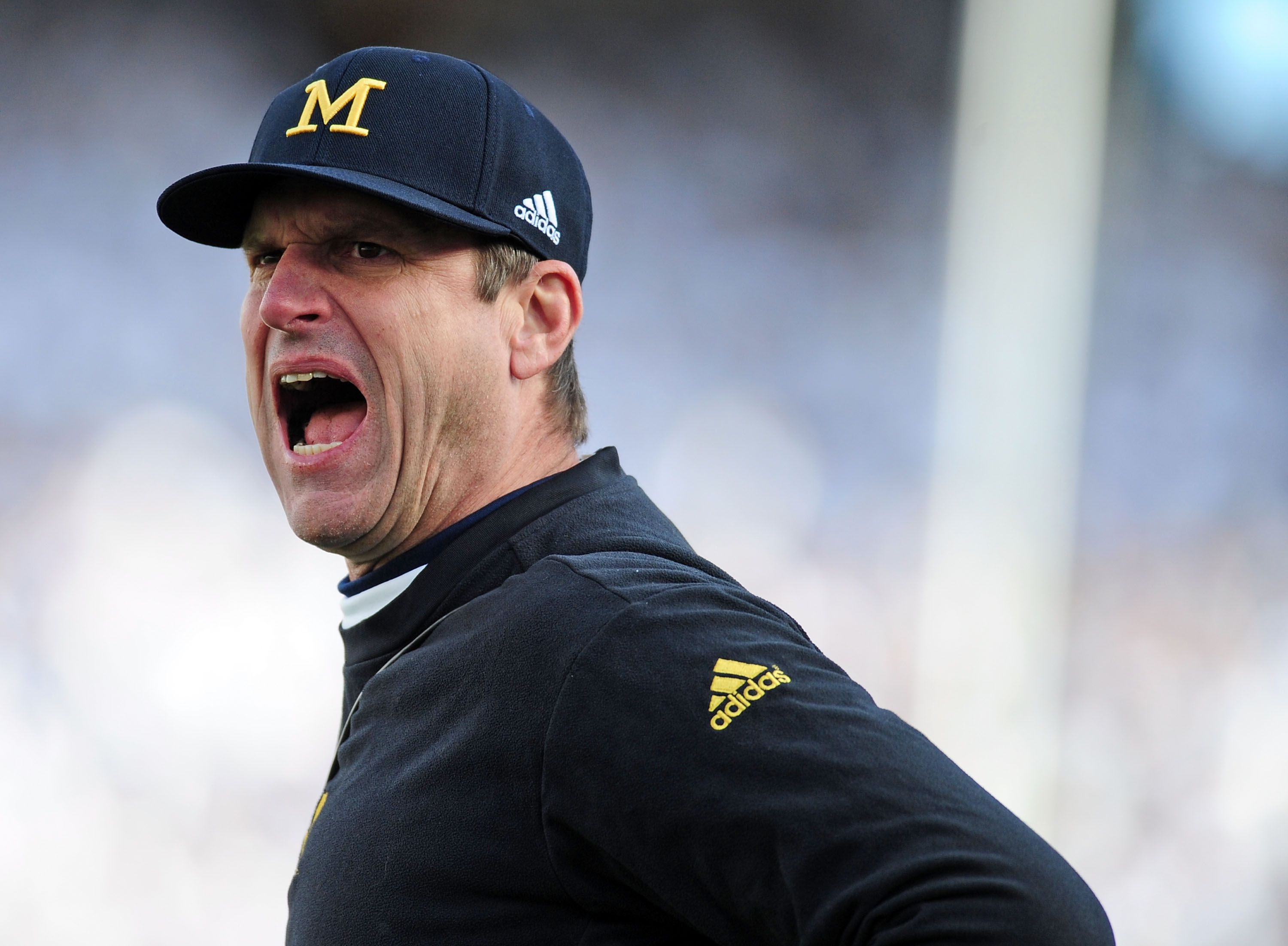 Jim Harbaugh and Mike Riley were once part of the same awful NFL