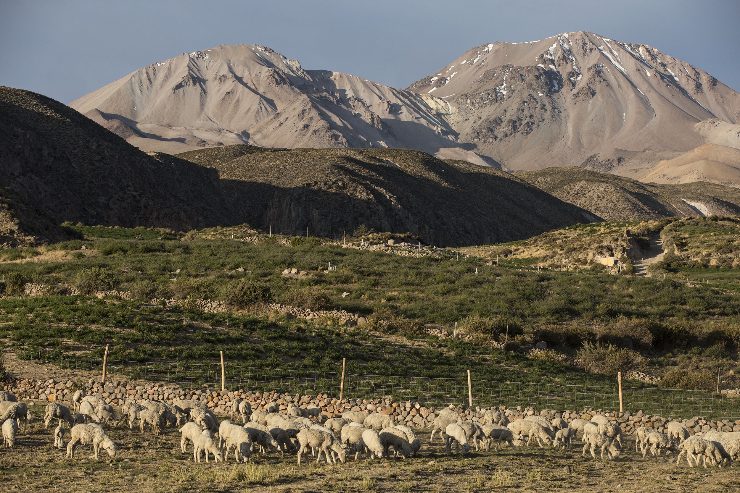 Nevados-de-Putre.jpg