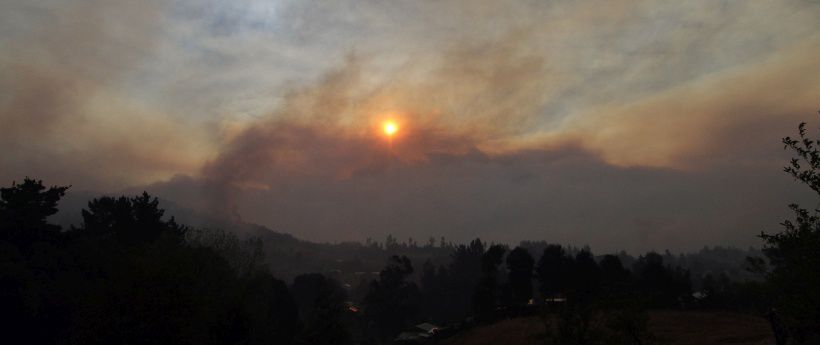 Incendios forestales continuan en Hualqui.