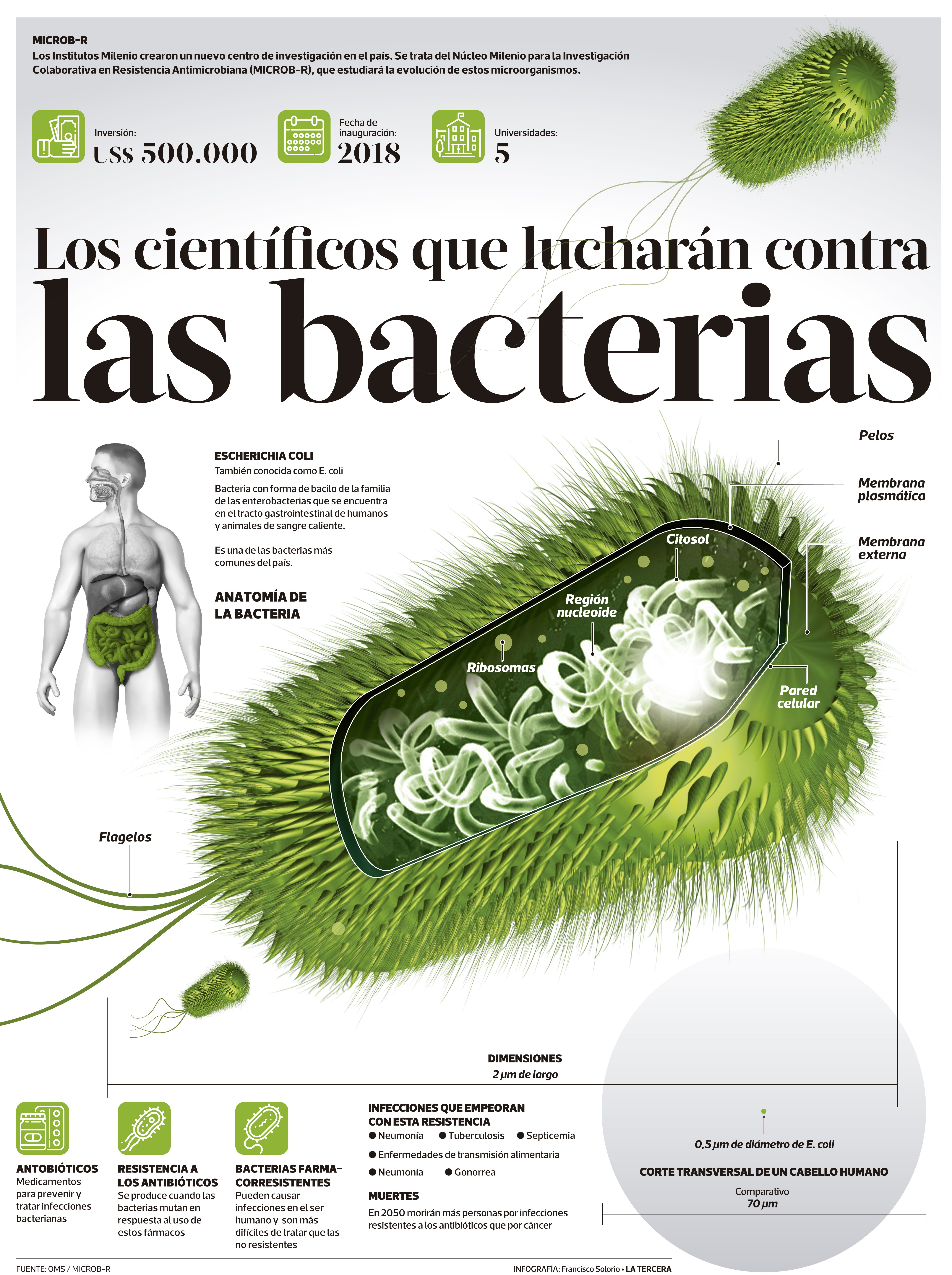 CT-BACTERIAS.jpg