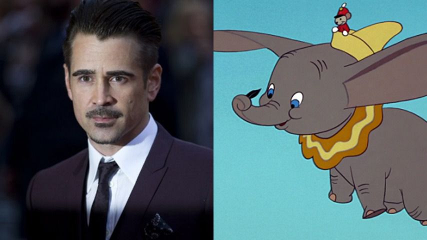 colin-dumbo-ok