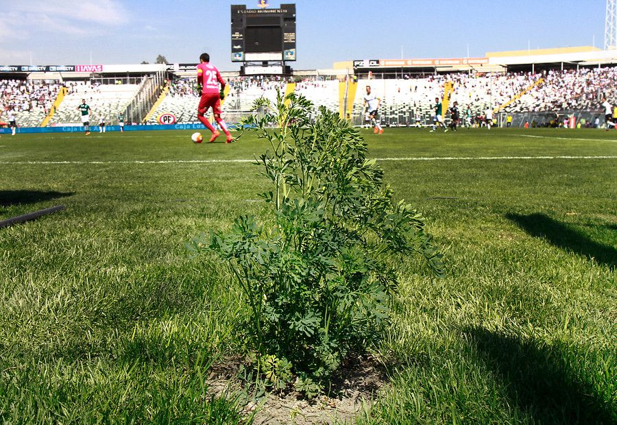 Ruda en el Monumental