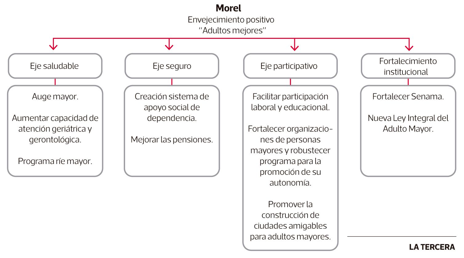 LT07-Morel1.jpg