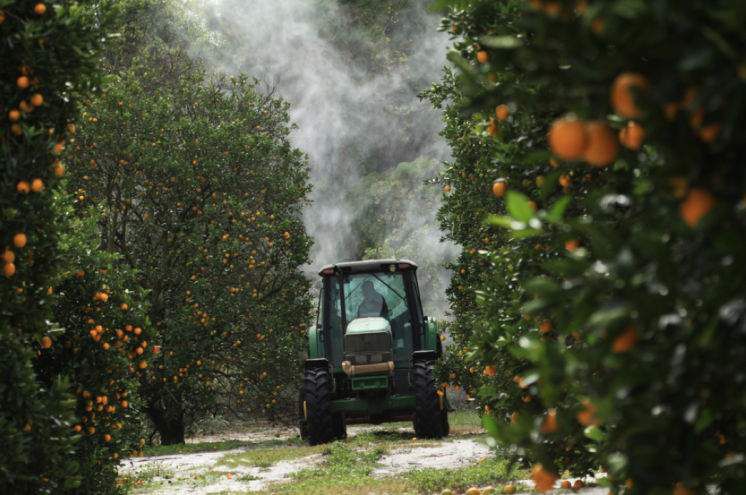 Alico Buying Three Florida Citrus Producers For 363 Million