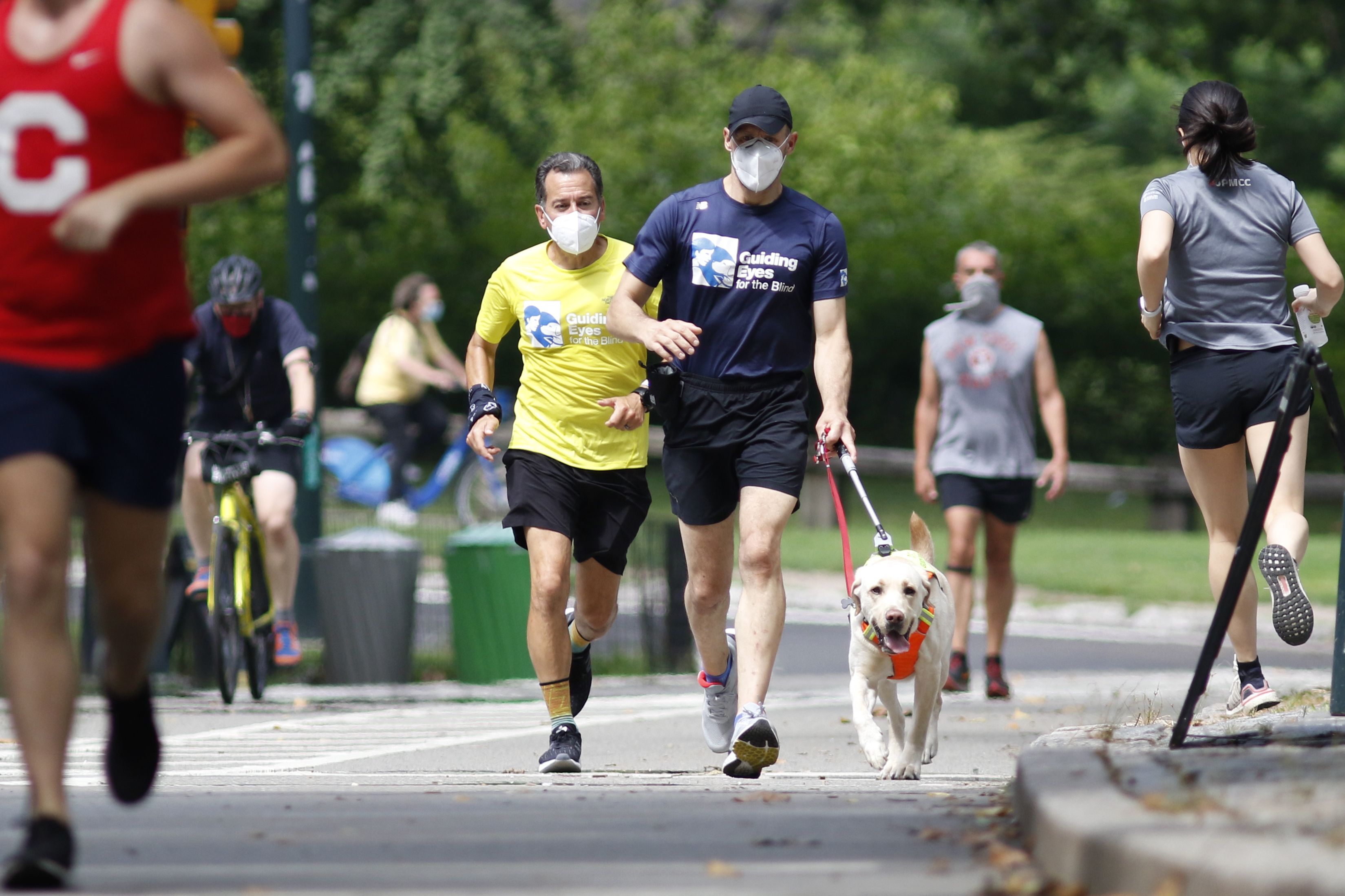 Guide dogs helping blind runners stay fit despite pandemic