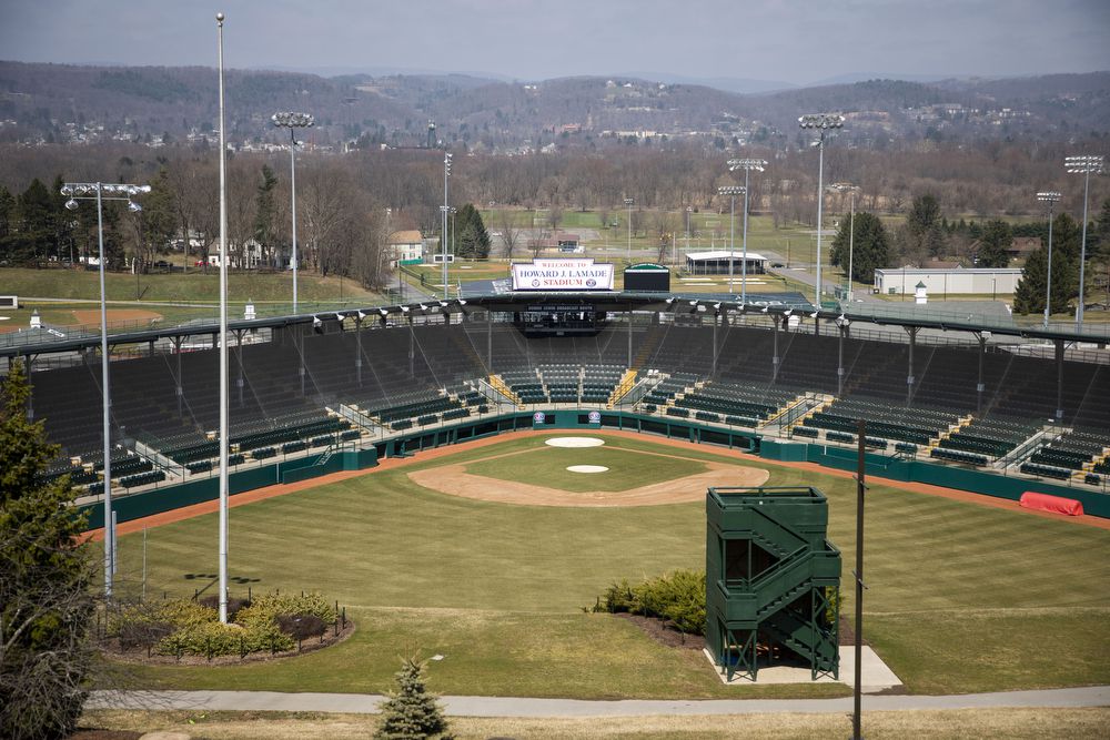 2019 Little League World Series - Wikipedia