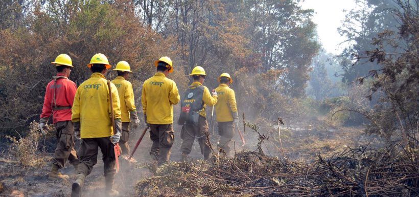 Incendios forestales en Puerto Montt