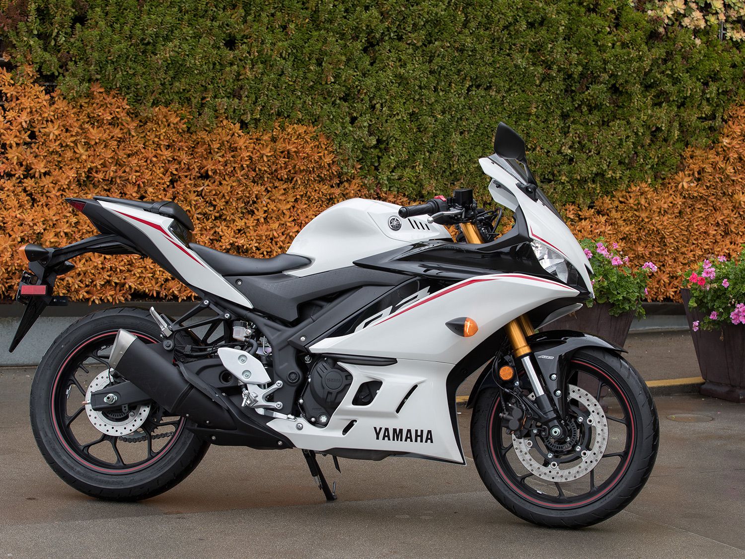 Yamaha on sale 2019 r3