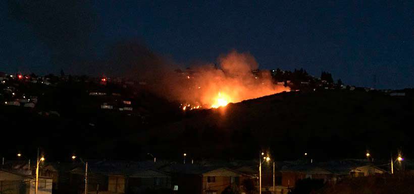 incendio Reñaca Alto