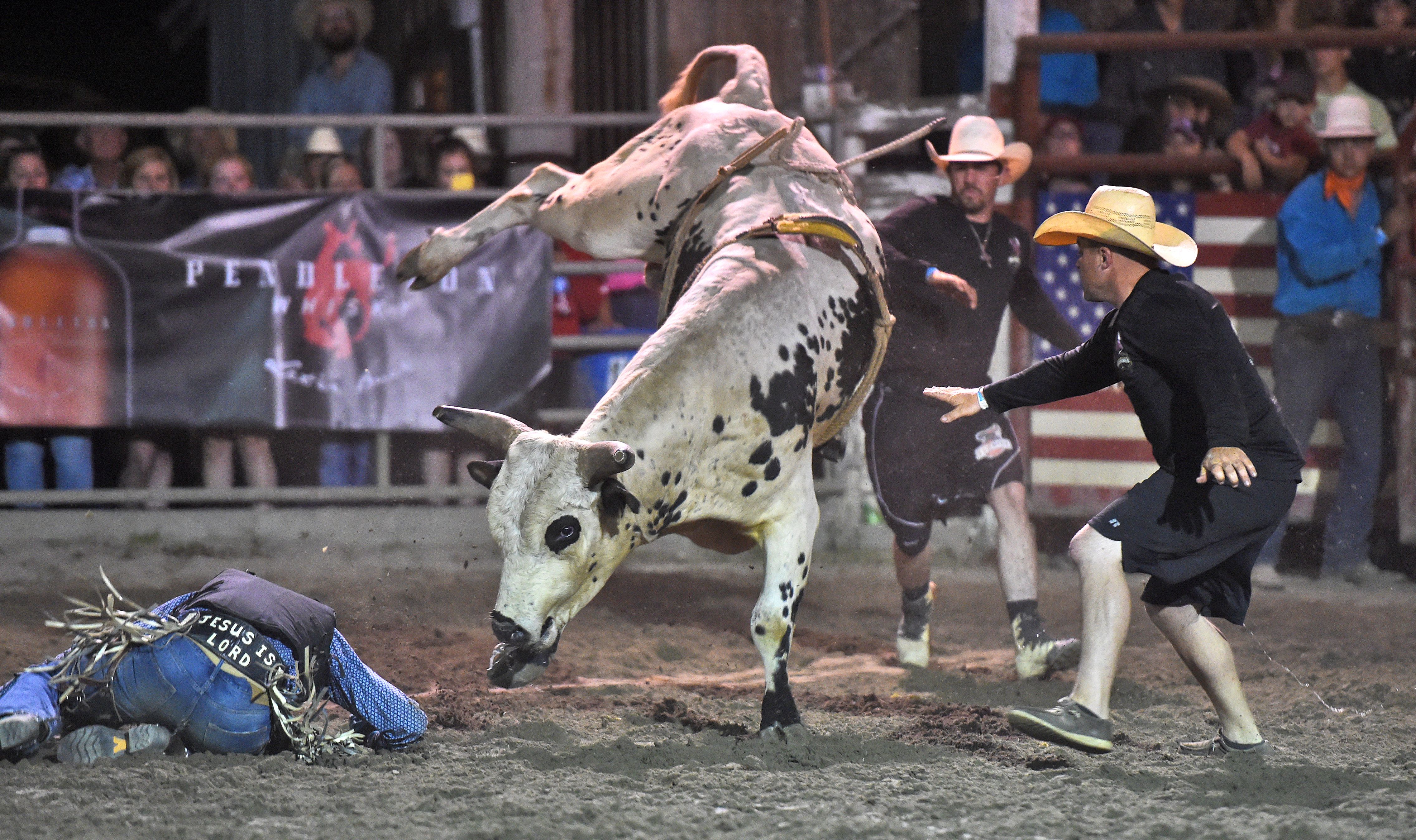 fredelig fattigdom Indeholde Bucking and bronking at the 62nd Annual Attica Rodeo - newyorkupstate.com