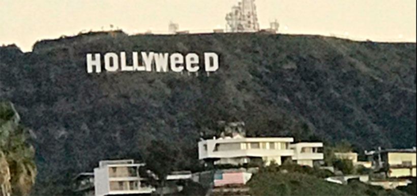 hollyweed