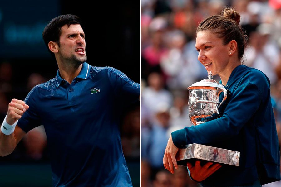 Novak Djokovic, Simona Halep