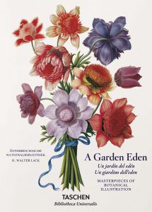 Imagen-GARDEN_EDEN_HC_BU_IEP_3D_45516-e1580479138976-215x300.jpg