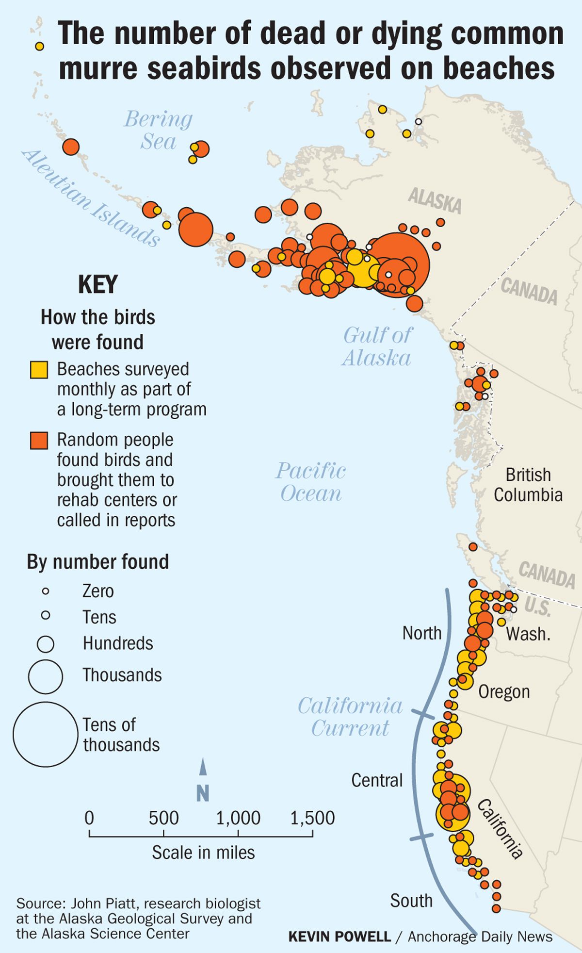 Massive bird die-off 'is an alarm' according to NMSU researcher