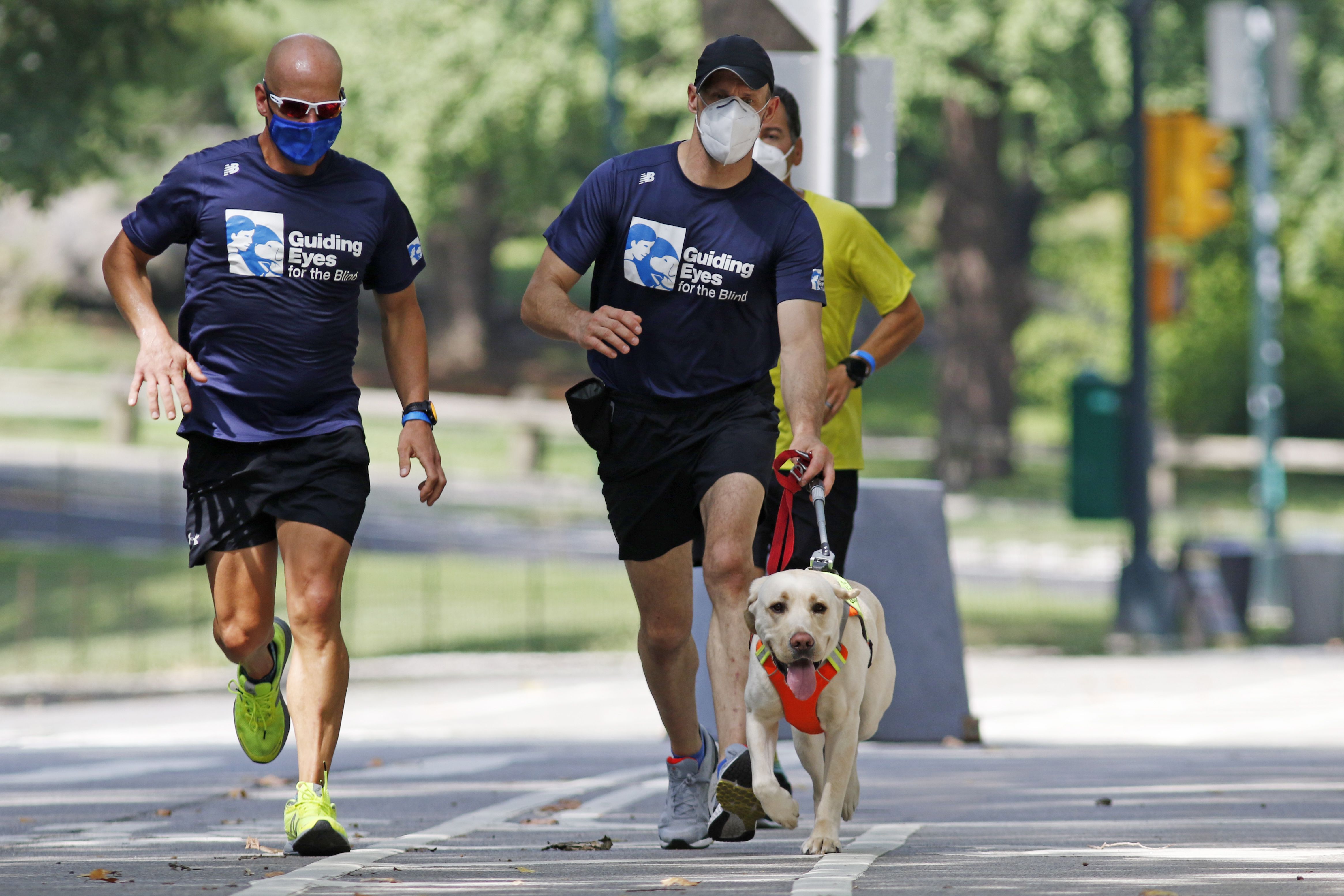 Guide dogs helping blind runners stay fit despite pandemic