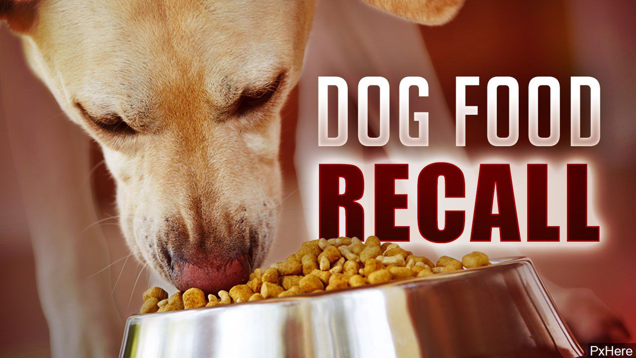 FDA recalls several brands of dry dog food following toxicity reports