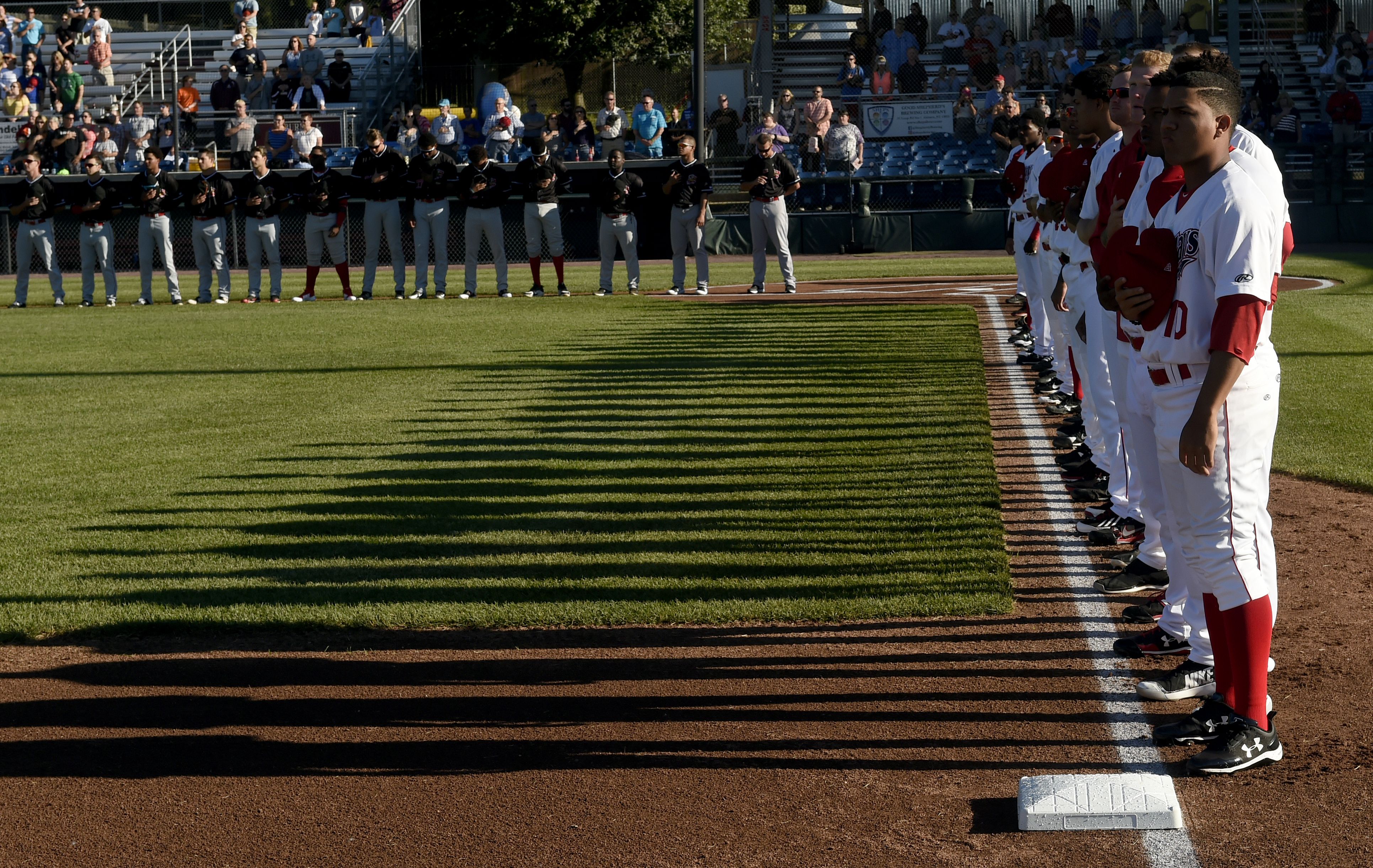 News  The Auburn Doubledays