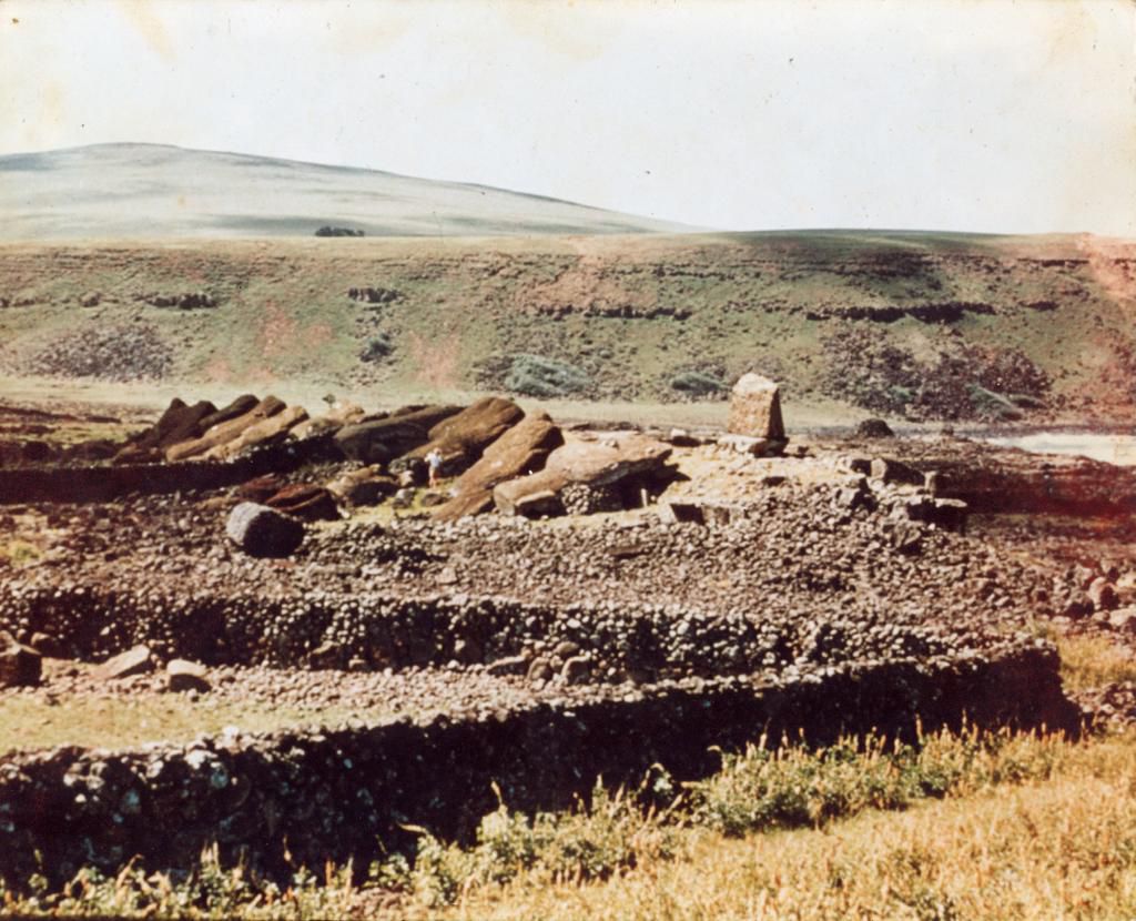 moai u. de chile