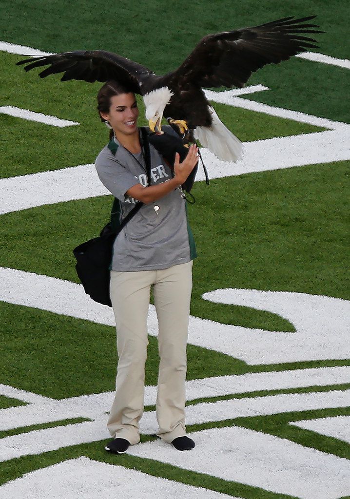 That's a real eagle! See photos from Prosper's season opener