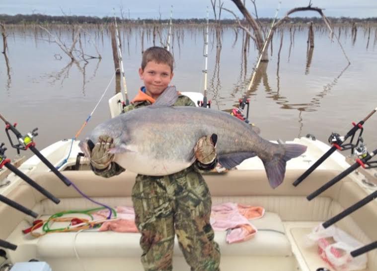 With Latest Whopper Of A Catfish 11 Year Old Owns Junior Marks At Three Lakes