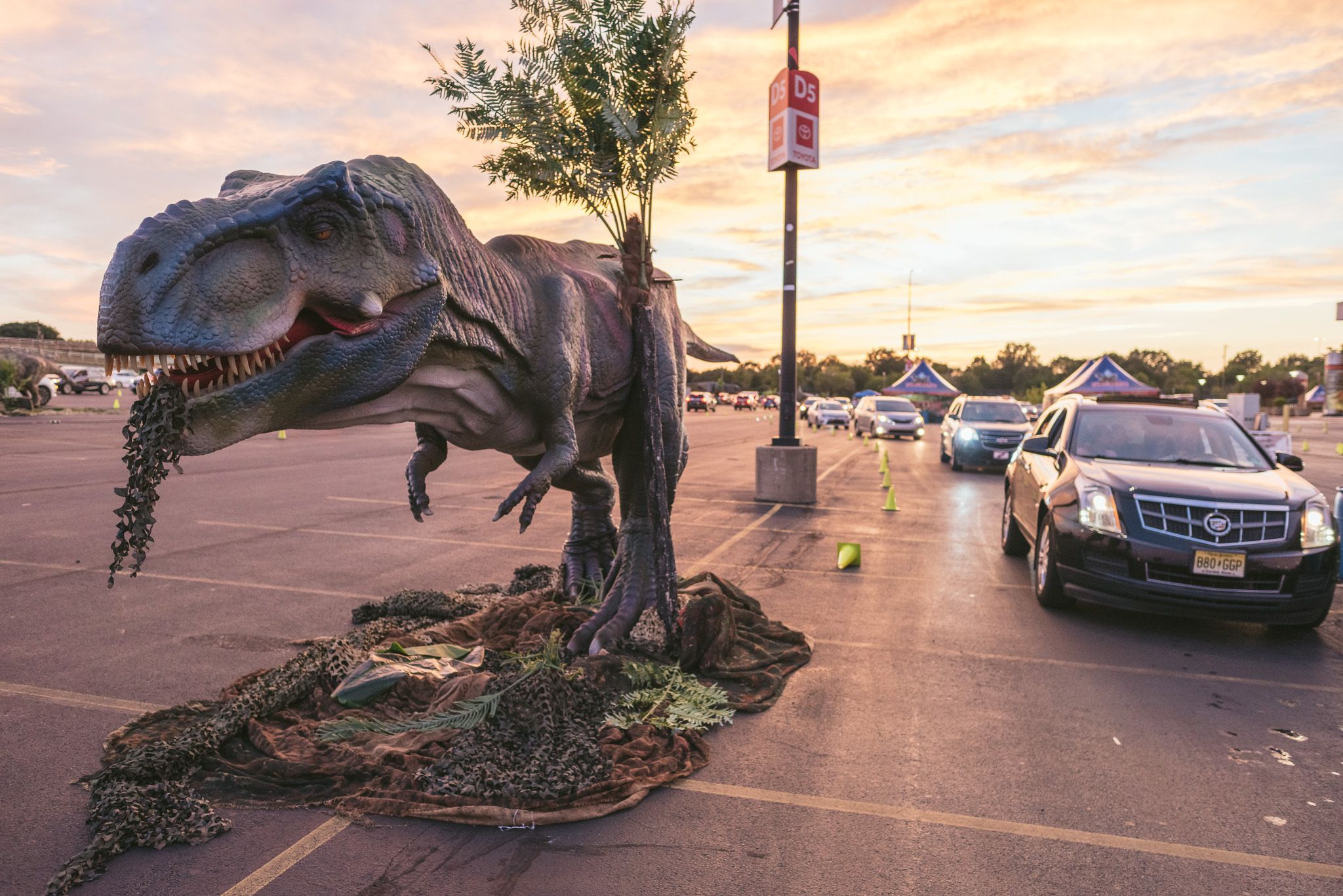 Travis Spark Park Houston's Dinosaur Park! –