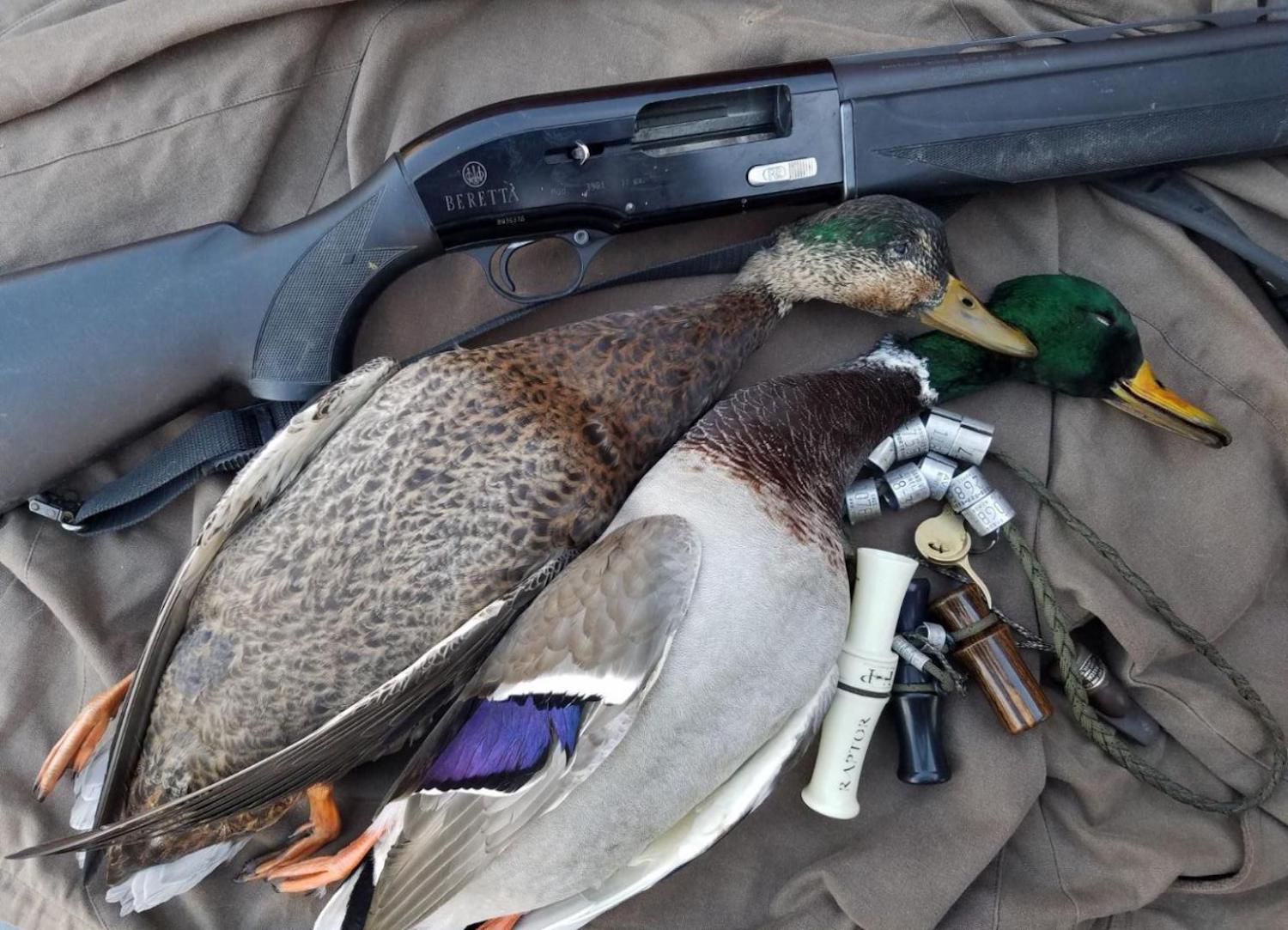 15 Best Duck And Goose Guns Ever Field Stream