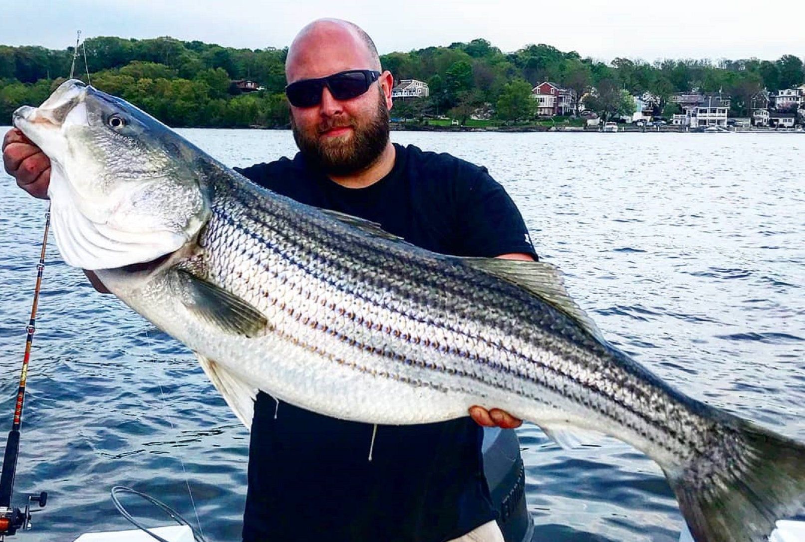 Striped bass population threatened, NYS to impose new size