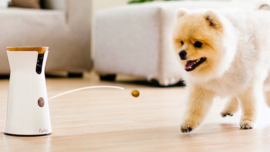 Furbo-Tech-Gadgets-for-Dogs.jpg