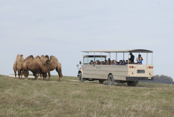 The Wilds  Ohio Traveler