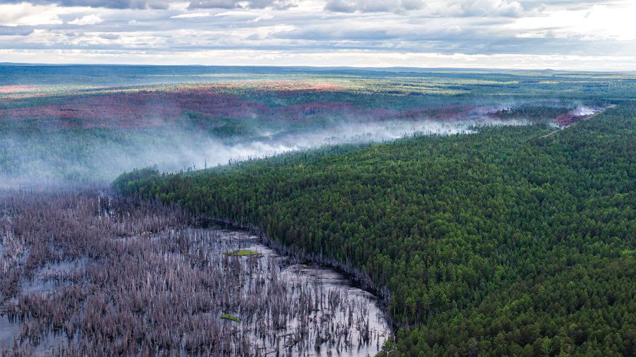 An aerial view shows smoke rising from a forest fire burning in Krasnoyarsk Region