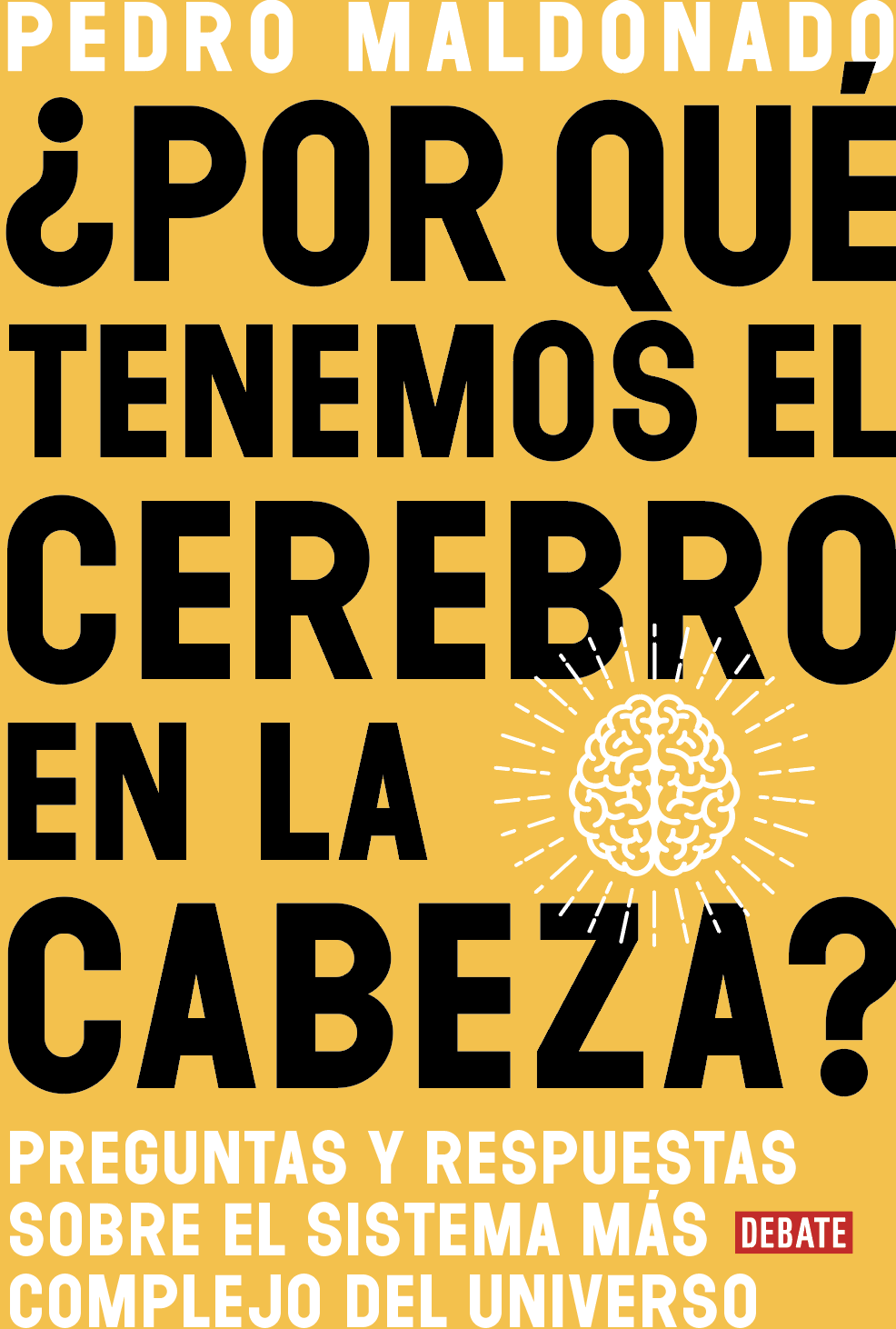 ¿POR-QUE-TENEMOS-EL-CEREBRO-EN-LA-CABEZA.png