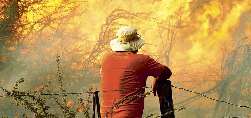 incendios forestales, Conaf