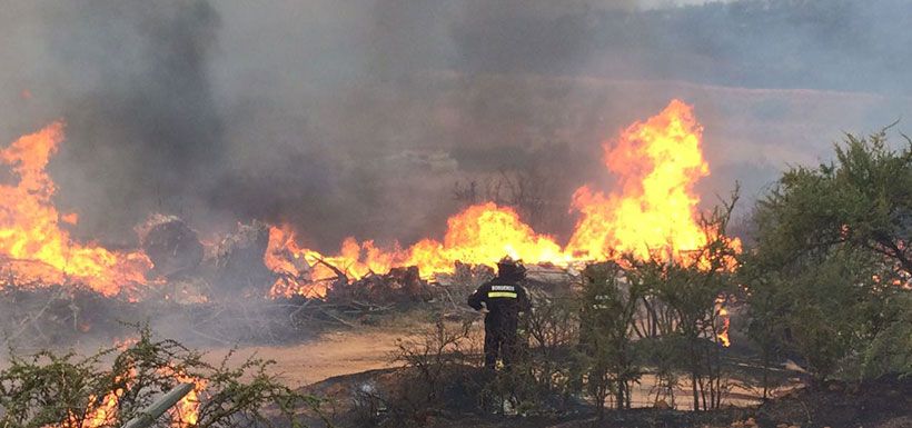 incendio forestal