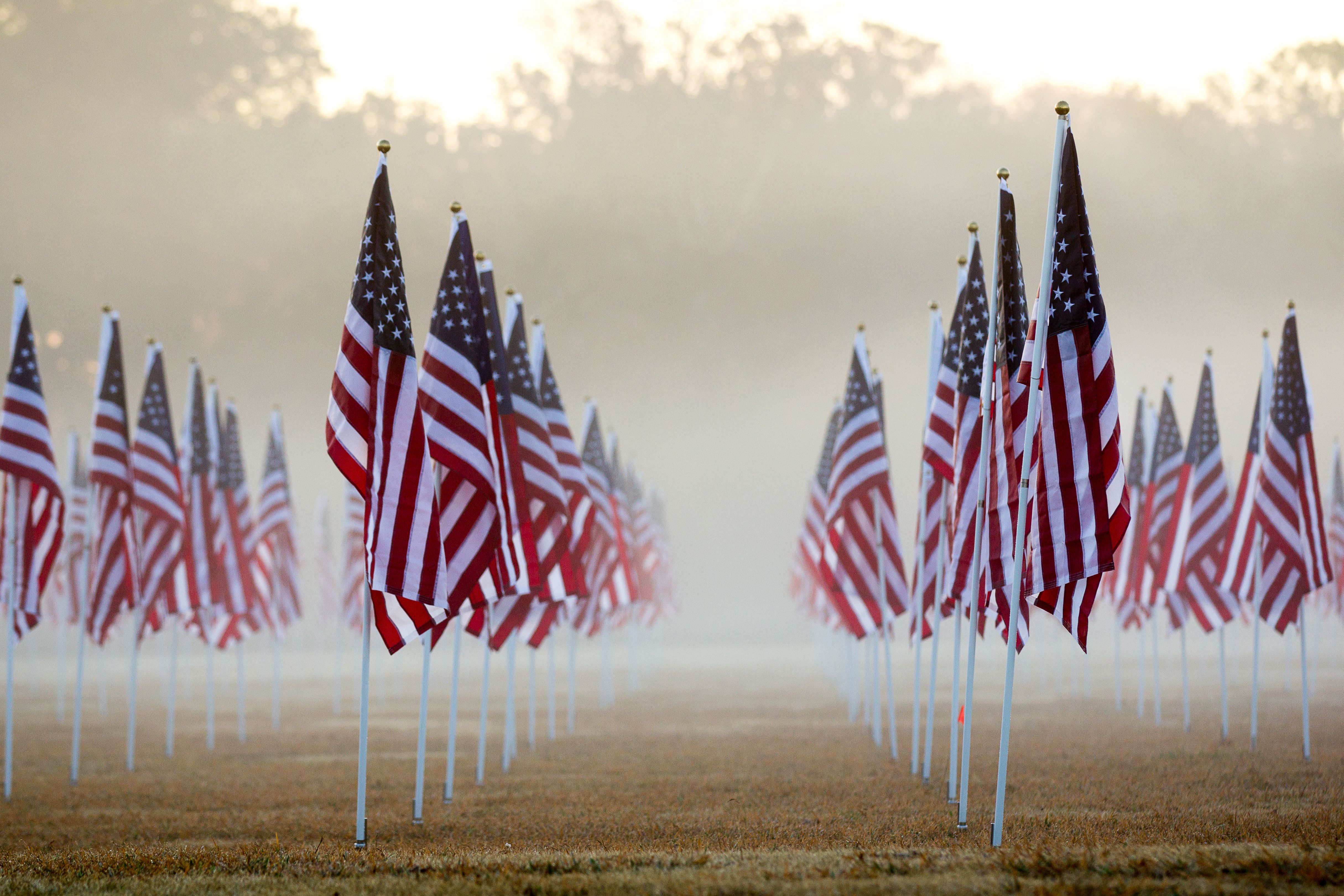 veterans flags