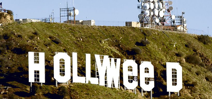 Hollyweed