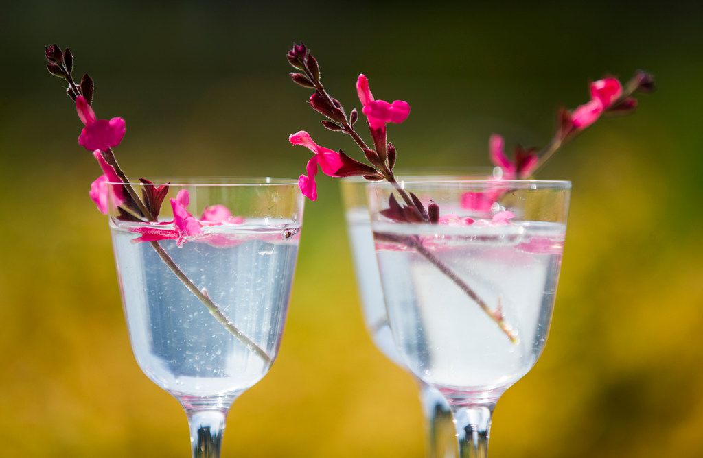 How to mix edible flowers into your favorite cocktails