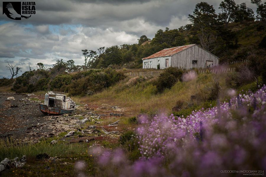 Mina Invierno (Greenpeace NO USAR)