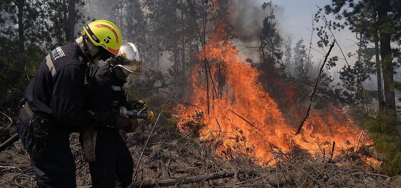 Incendio forestal en Paine