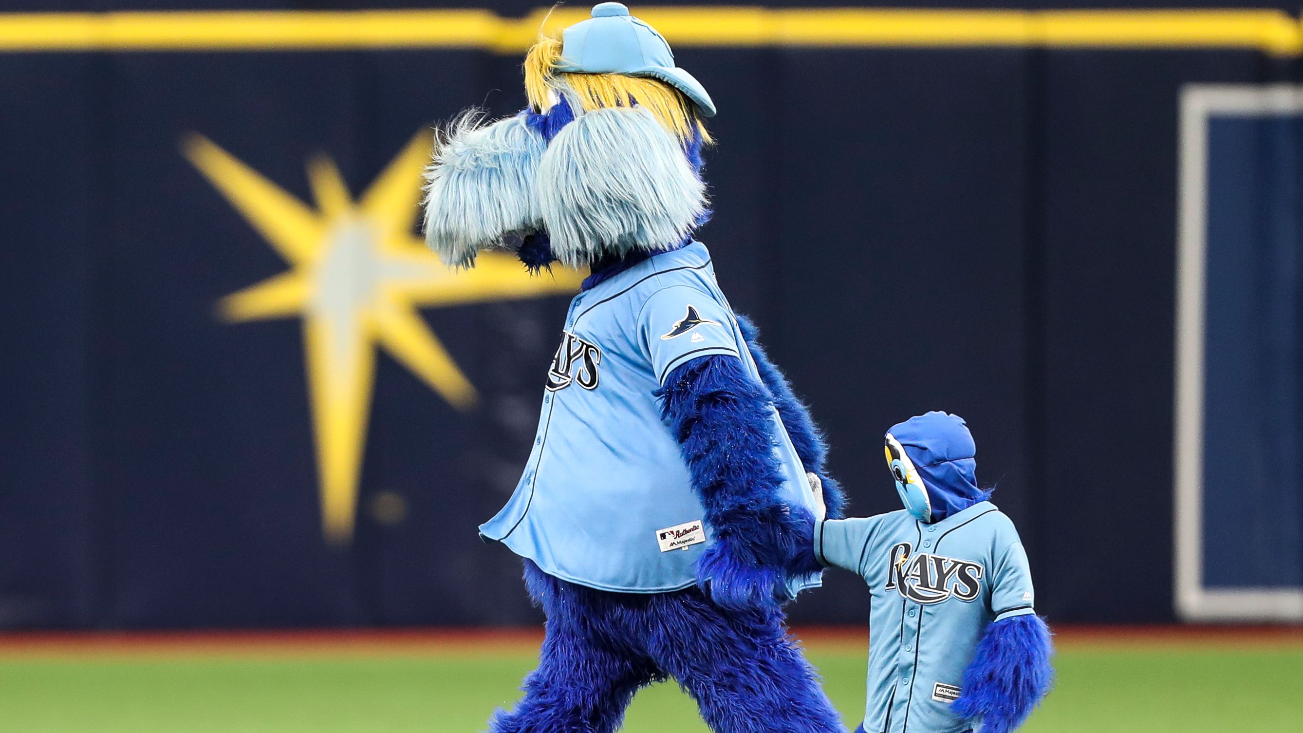 Rays Reportedly Exploring Playing in Tampa Bay and Montreal