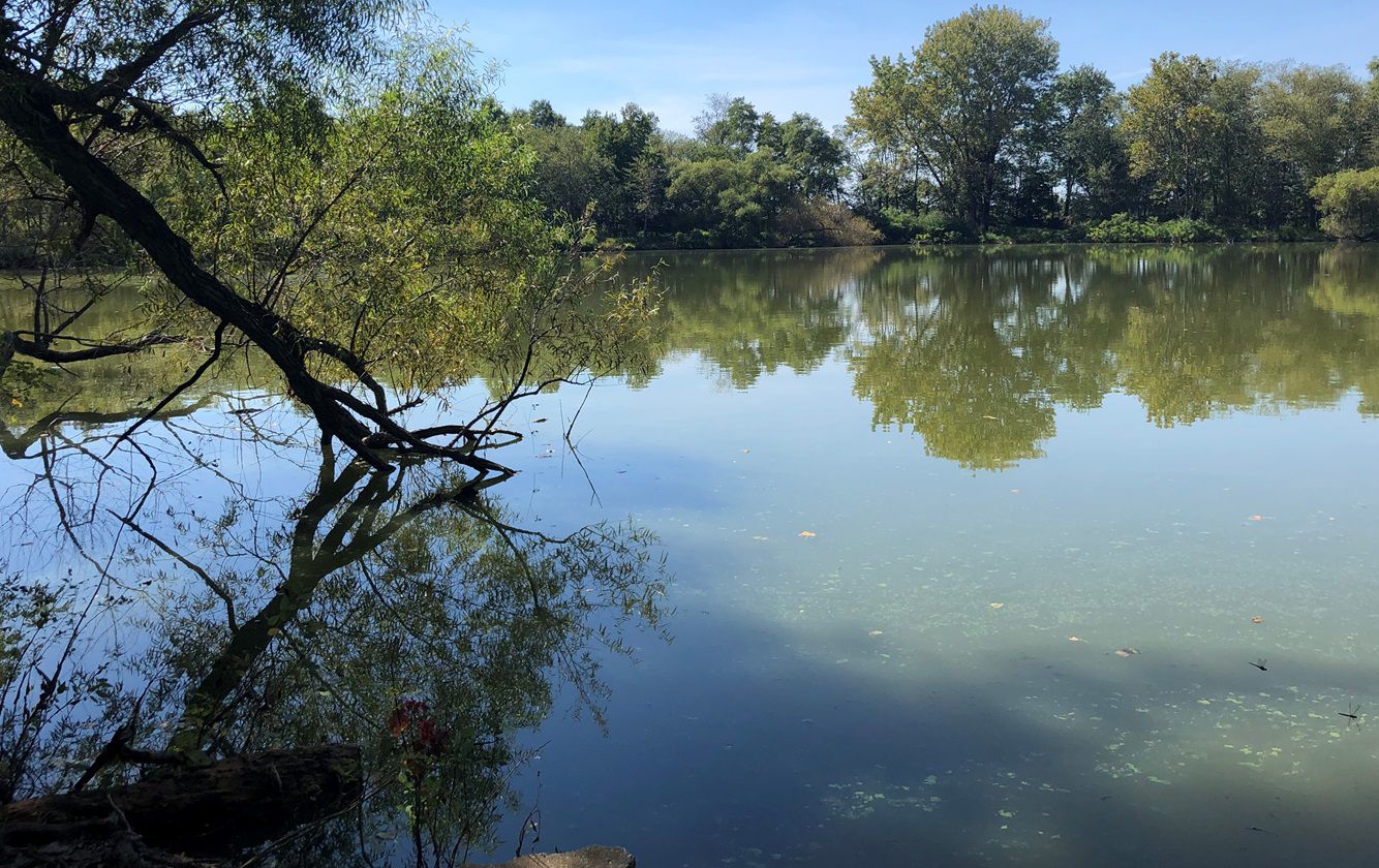 After record-setting year of toxic algae in N.J. lakes, how bad