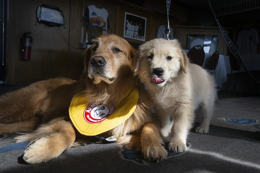 Only in NJ! Trenton Thunder Changes its Name to Thunder Pork Roll - NJ  Family