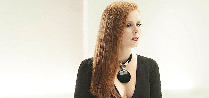 Amy Adams (animales nocturnos)