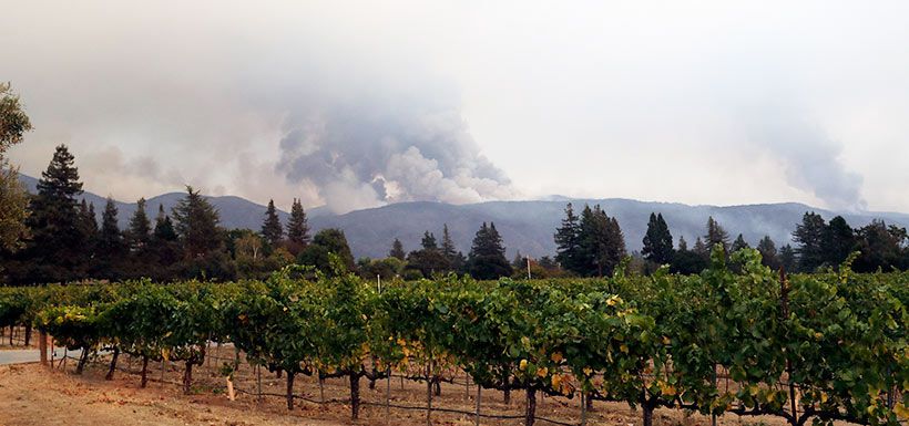 Viña california incendio