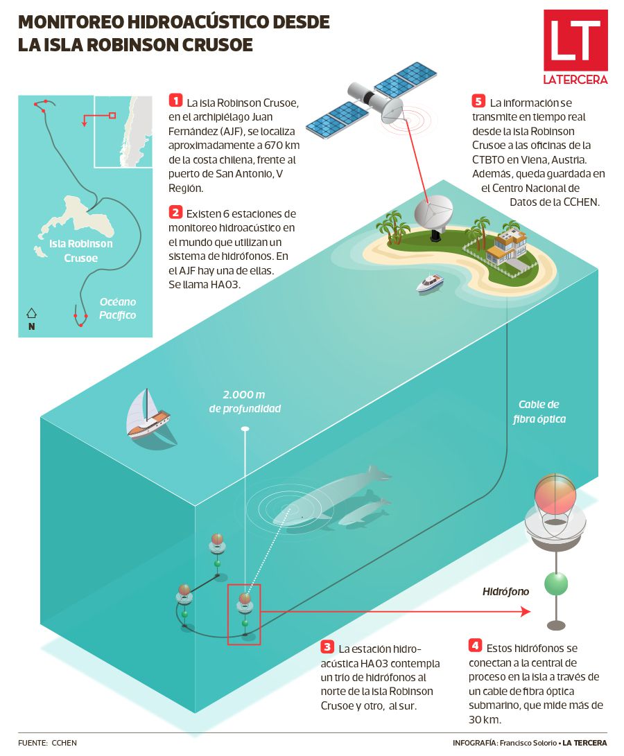 infografía ballenas