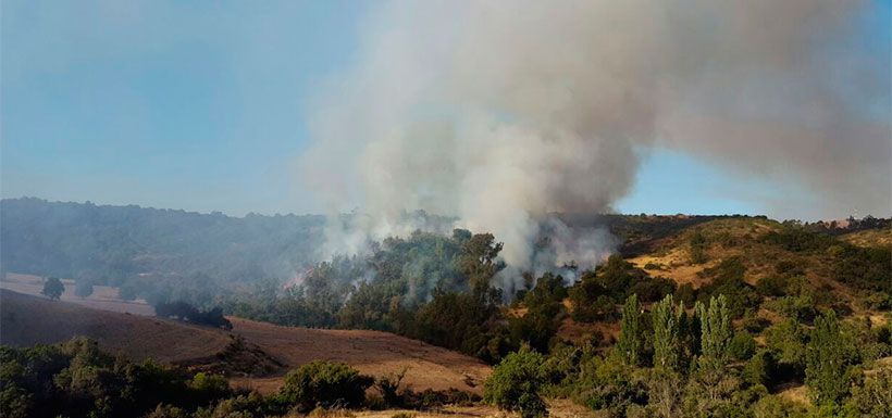 incendio forestal valle hermoso