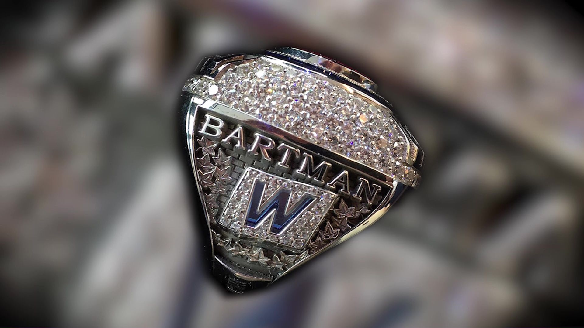 Chicago Cubs to give Steve Bartman a World Series ring