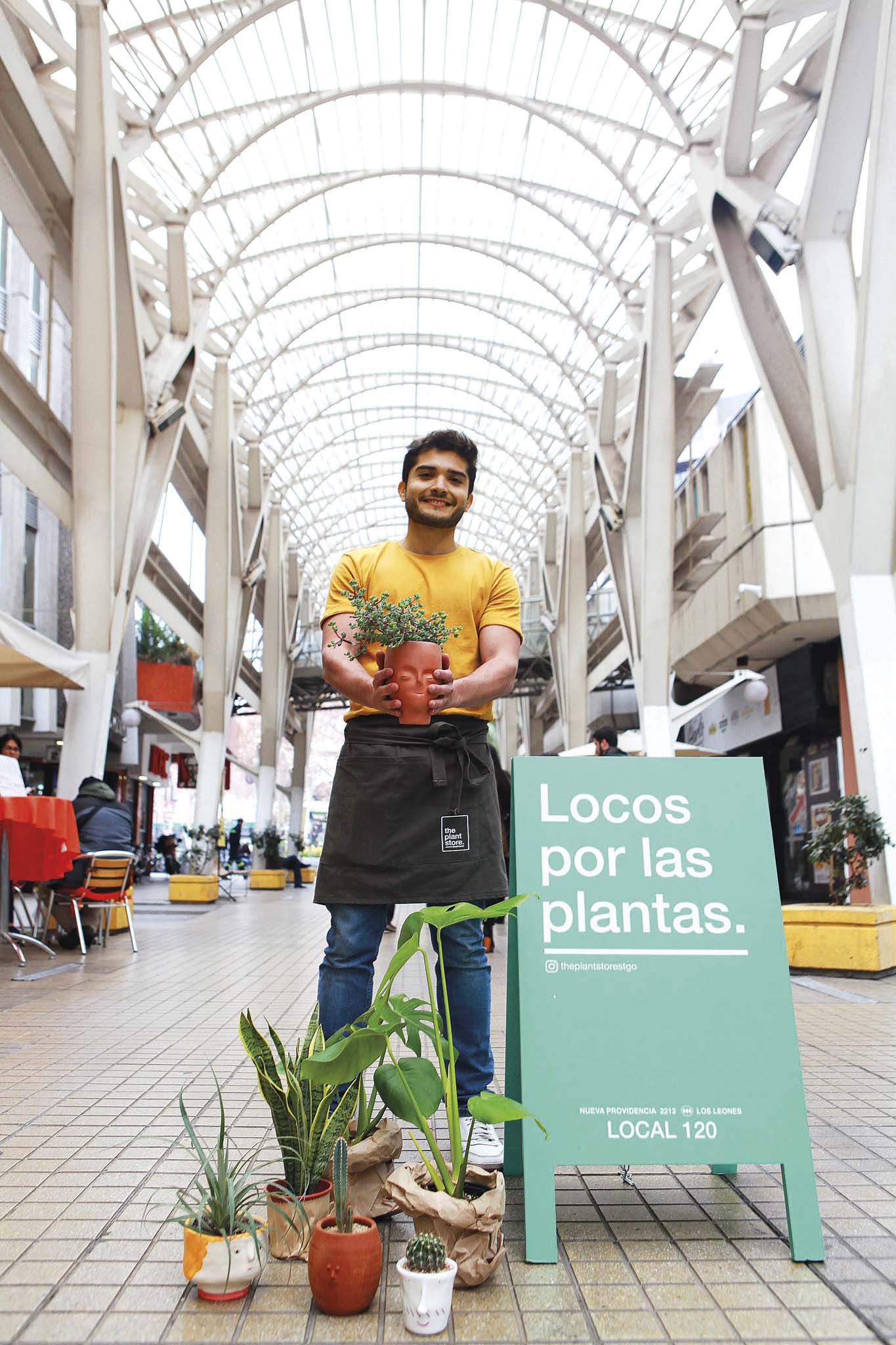 plantas y maceteros