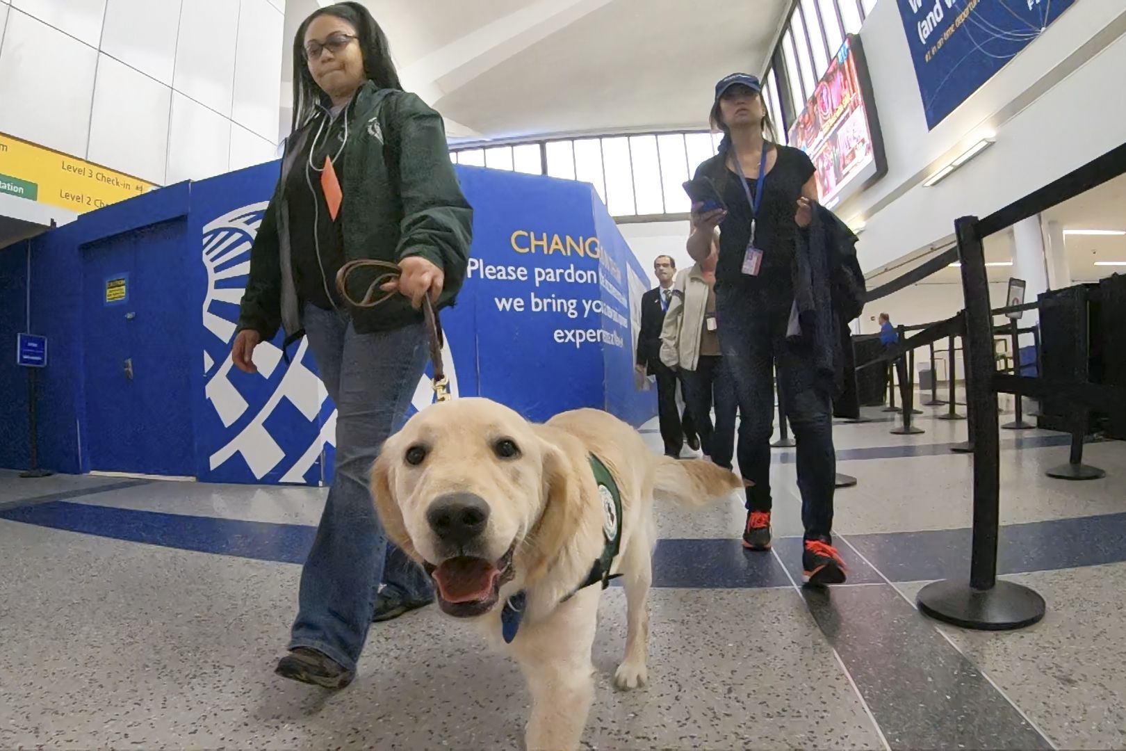 Bucco Bill Would Name The Seeing Eye® Dog as State Dog of NJ