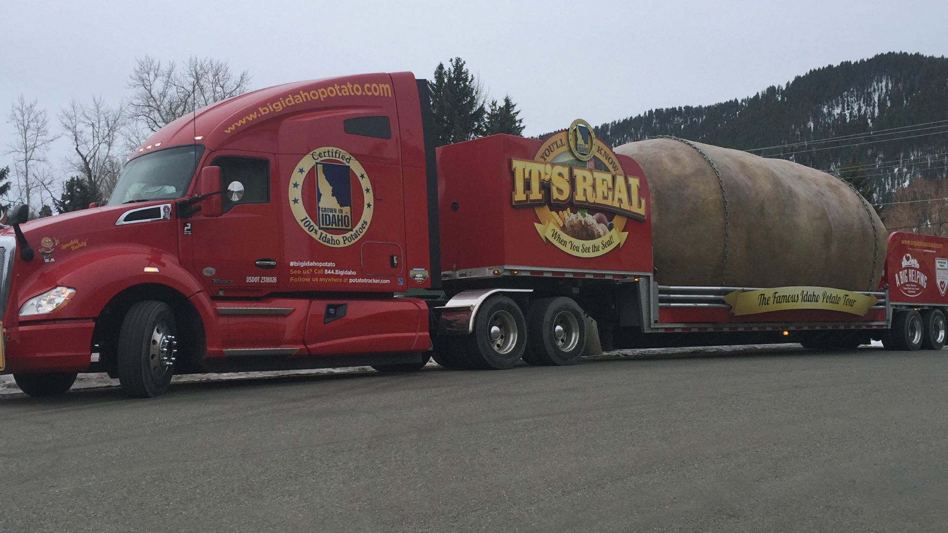 Giant Spuddy Buddy - Idaho Potato Store