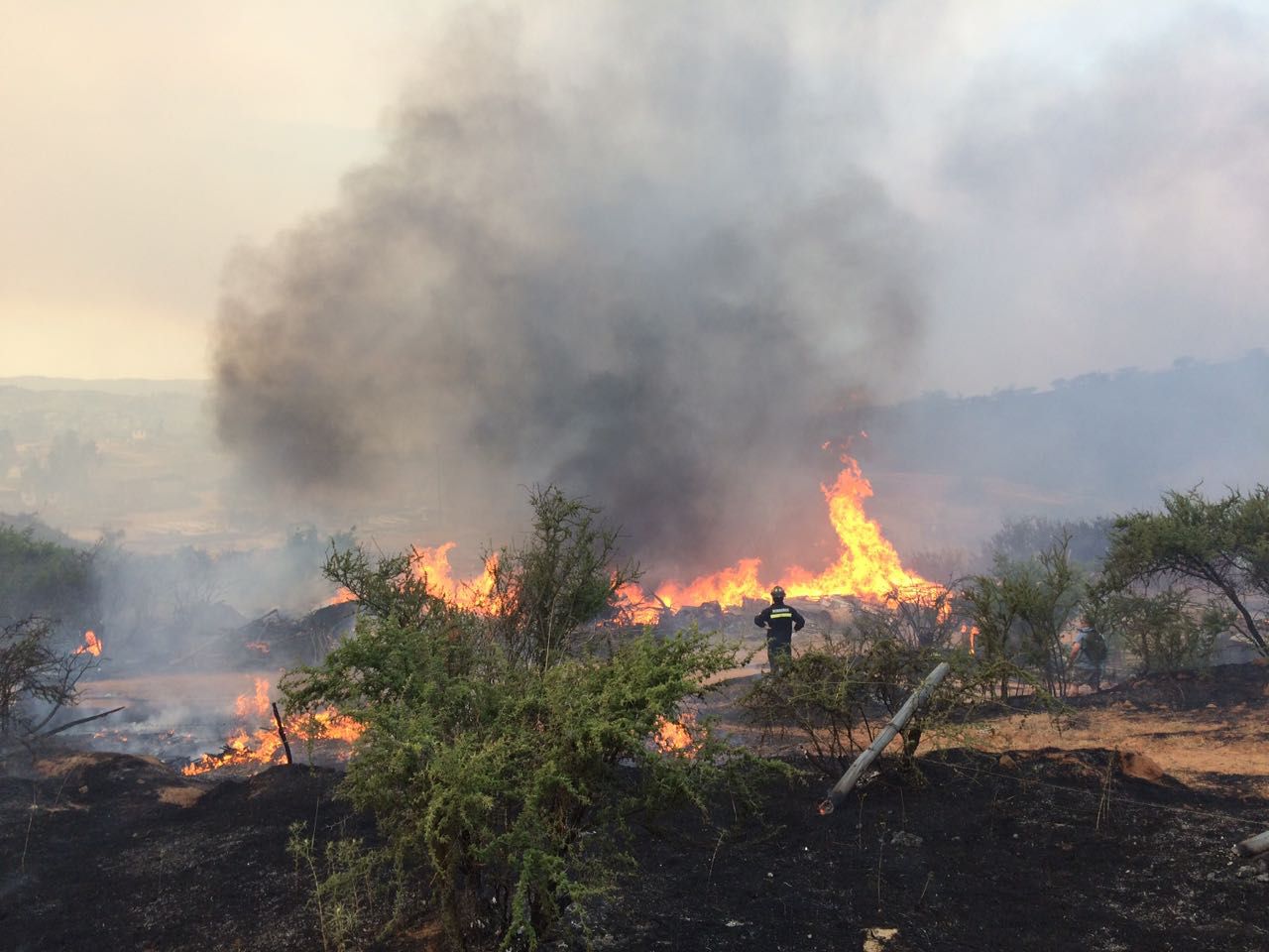 VILLA ALEMANA - Incendio Forestal Alerta Roja